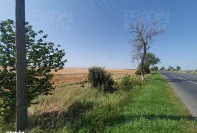 Spațiu comercial, în Lilieci - 3