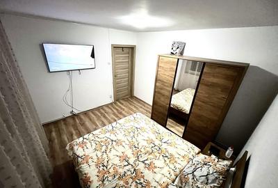 Apartament cu 2 camere decomandat în Vest - 8