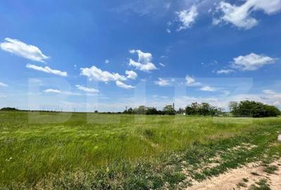 REDUCERE! Teren intravilan 4.444 mp, pretabil proiect imobil - 1