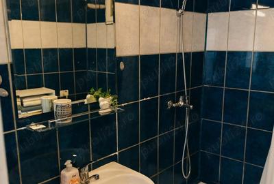 Casa la curte cu gradina, zona linistita - 9