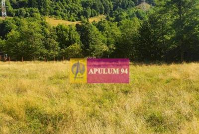 Teren Jude?ul Valcea - Brezoi, Valea lui Stan - 15