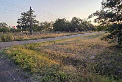 Teren intravilan în localitatea Berini - 9