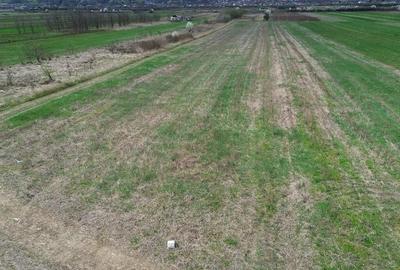 Teren de 6581 mp, în Jiblea Nouă - 5