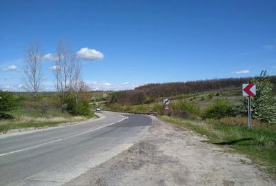 Teren de 17800 mp, în Mischii - 3
