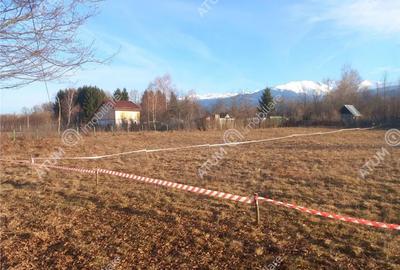 Teren de 1000 mp, în Avrig - 5