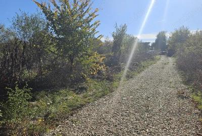 Teren de vanzare in Vladiceasca, 720mp, langa DN1 - Snagov Plaza - 14