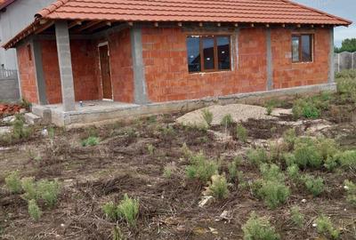 Vind Casa Peciu Nou - 8