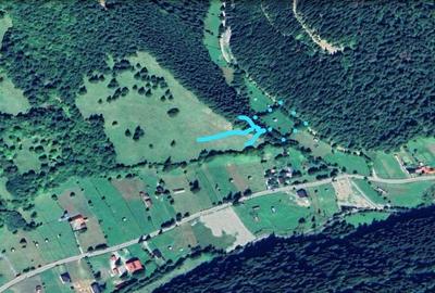 Neamt - Borca, teren 3386mp, langa padure - 4