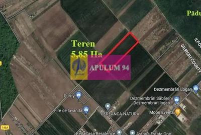 Teren de 58500 mp, în Săbăreni