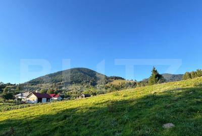 Teren de vanzare in Colibi?a oportunitate de investi? - 4