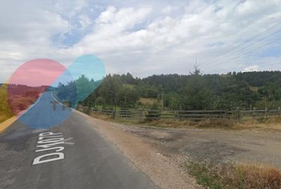 Teren Intravilan 11.314 mp cu Casa si Anexe - Marisel, Cluj - 2