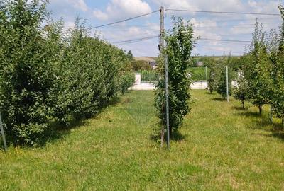 Casă individuală cu 5 camere cu Garaj în Vadu Moldovei - 57