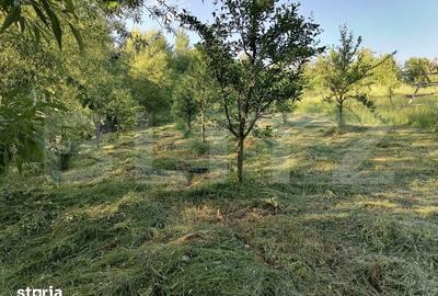 Teren de 14400 mp, în Voinești - 2