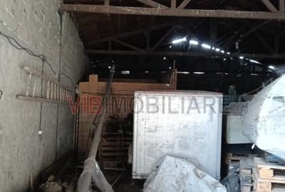 Depozit de vânzare – 392 mp construiți, Timis - Orțișoara, zonă industrială Avic - 11