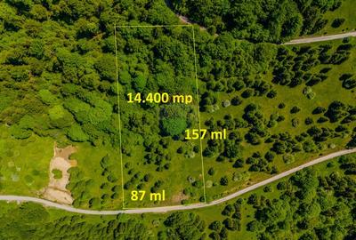 Teren extravlan 14,400mp Paraul Rece / Strada 3 brazi - 6