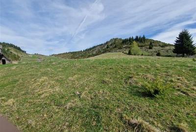 7.000 mp, pozitie spectaculoasa, fara vecini, Fundatica, Brasov - 14