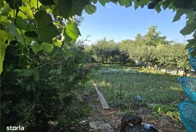 Casă cu 5 camere cu Teren 1000 Mp în Șcheia - 9