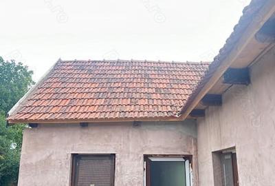Casă cu 6 camere cu Teren 2160 Mp în Balinț - 4