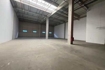 Spațiu industrial, de 15,000 mp, în Mogoșoaia - 7