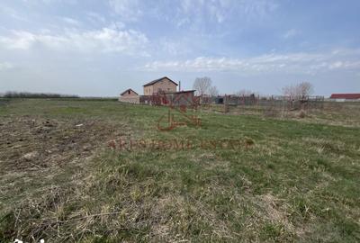 Teren de 2450 mp, în Bucovăț - 2