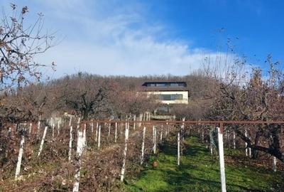 Casă individuală cu 7 camere cu Canalizare în Dăești - 1