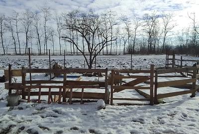 Casa de vanzare judet Botosani - 1