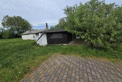 Teren Construcții intravilan de 6500 mp, în Centură - 5