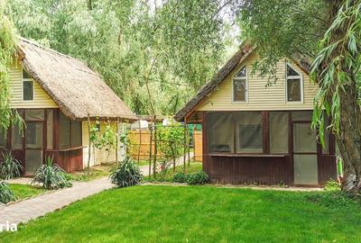 Casă cu Teren 1500 Mp în Murighiol - 5