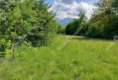 Teren intravilan 2100 mp de vanzare pe Valea Avrigului in Sibiu - 5