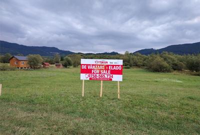 Teren de 6600 mp, în Vale - 5