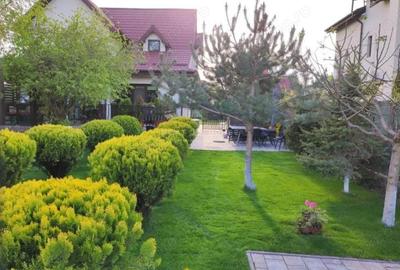 Casă cu 3 camere cu Teren 786 Mp în Domnești - 14