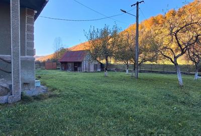 Casă cu 4 camere în Remeți - 4