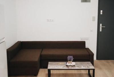 Apartament 2 camere zona Calea Moldovei - 3