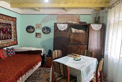 Teren intravilan 4.779 mp + casa si anexe - Girov, Neamt - 7