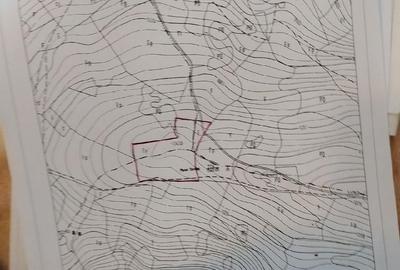 Teren de 25000 mp, în Plai - 2