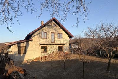 Casă cu Teren 8400 Mp în Pătrăuți - 6