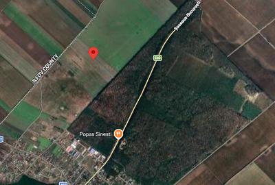 Teren agricol extravilan de 33125 mp, în Sinești - 1