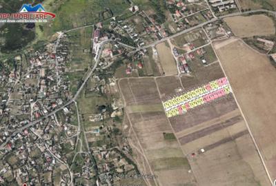 Teren intravilan in Mineri - 25