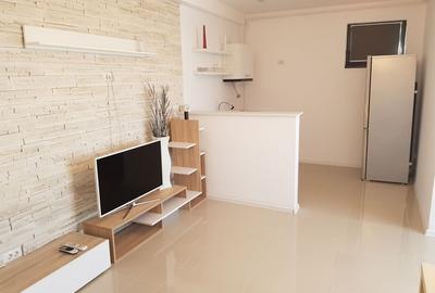 Aparthotel ,pensiune la cheie . - 11