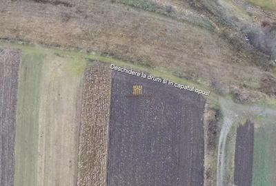 Teren de 14066 mp, în Mihoveni - 10