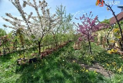 Casă cu 5 camere cu Teren 805 Mp în Giarmata - 2