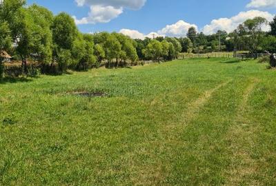 Spațiu comercial, în Toplița - 4