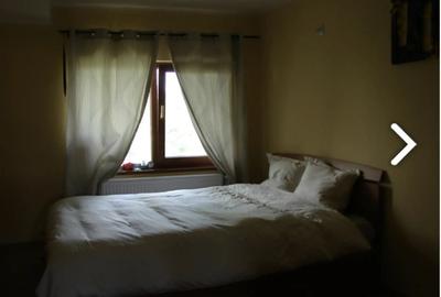 2 cam Mihalache 315 proprietar - 3