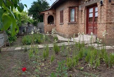 Casă cu 4 camere cu Teren 3120 Mp în Bogata - 4