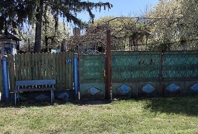 Casă cu Teren 1506 Mp în Brădeanu - 2