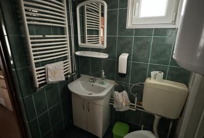 Duplex cu 5 camere cu Teren 250 Mp în Vârtop - 9