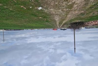 Teren de 13298 mp, în Săbăreni - 2