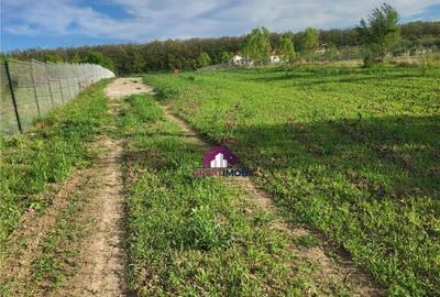 Teren 5600 mp Snagov Lac - 14