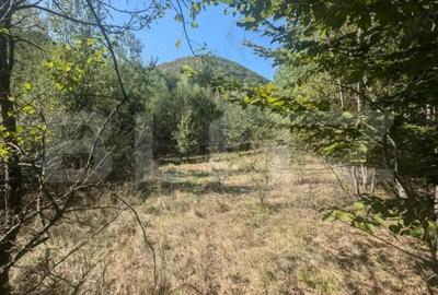 Teren de 3500 mp, în Central - 3