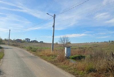 Teren 6.000 mp in Peri?, aproape de Bucure?ti ideal pentru locuin?a sau investi?ie - 2